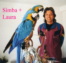Mark Steiger - Simba + Laura