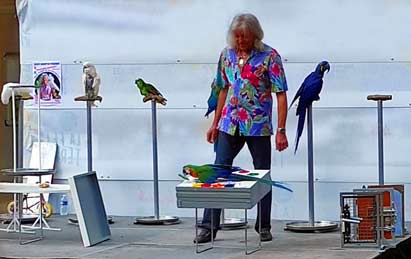 Parrot show Mark Steiger