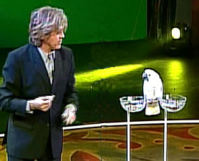 Mark Steiger, parrot show