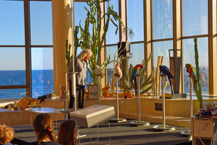 Wissenschaftliches Zentrum von Monaco